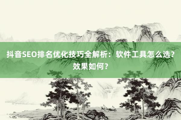 抖音SEO排名优化技巧全解析：软件工具怎么选？效果如何？