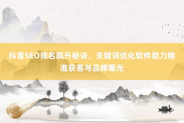 抖音SEO排名飙升秘诀，关键词优化软件助力精准获客与品牌曝光