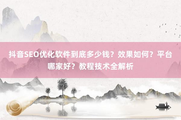 抖音SEO优化软件到底多少钱？效果如何？平台哪家好？教程技术全解析