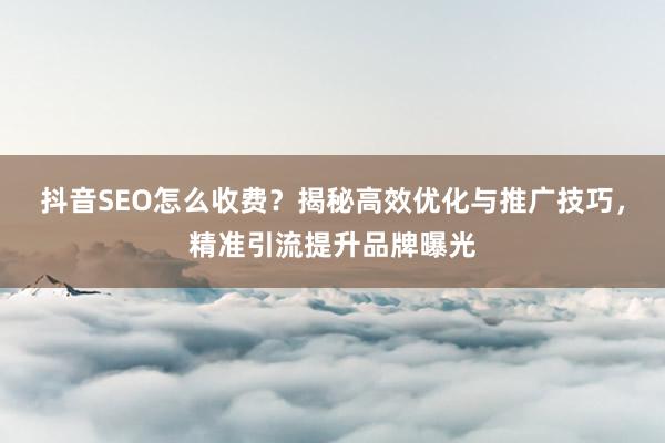 抖音SEO怎么收费？揭秘高效优化与推广技巧，精准引流提升品牌曝光