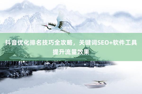 抖音优化排名技巧全攻略，关键词SEO+软件工具提升流量效果