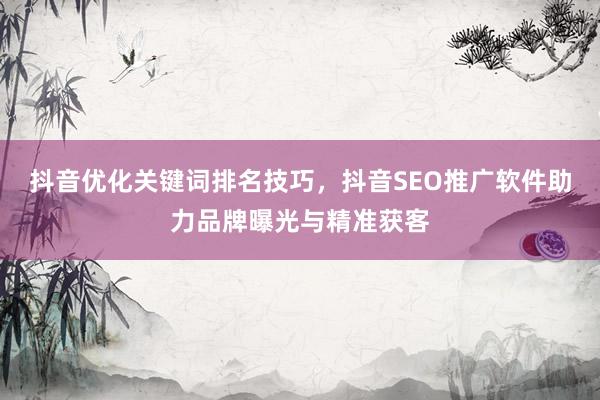 抖音优化关键词排名技巧，抖音SEO推广软件助力品牌曝光与精准获客