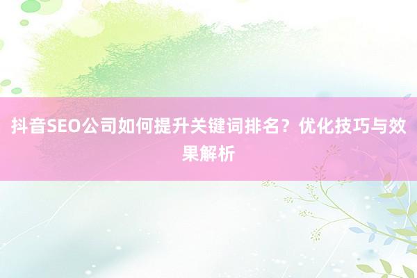 抖音SEO公司如何提升关键词排名？优化技巧与效果解析