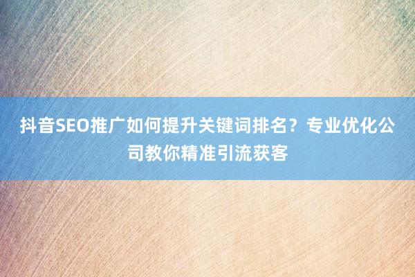 抖音SEO推广如何提升关键词排名？专业优化公司教你精准引流获客