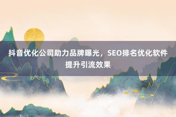 抖音优化公司助力品牌曝光，SEO排名优化软件提升引流效果