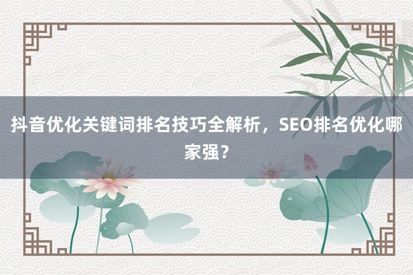 抖音优化关键词排名技巧全解析，SEO排名优化哪家强？
