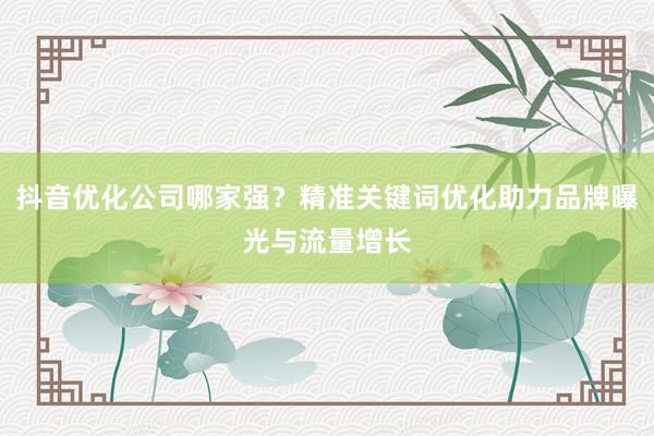 抖音优化公司哪家强？精准关键词优化助力品牌曝光与流量增长