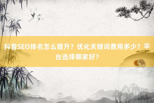 抖音SEO排名怎么提升？优化关键词费用多少？平台选择哪家好？