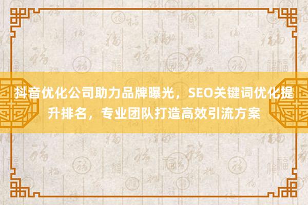 抖音优化公司助力品牌曝光，SEO关键词优化提升排名，专业团队打造高效引流方案