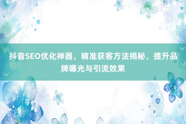 抖音SEO优化神器，精准获客方法揭秘，提升品牌曝光与引流效果