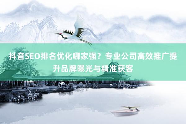 抖音SEO排名优化哪家强？专业公司高效推广提升品牌曝光与精准获客