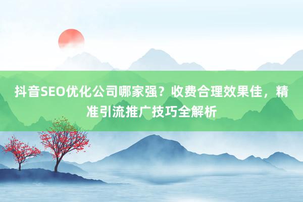 抖音SEO优化公司哪家强？收费合理效果佳，精准引流推广技巧全解析