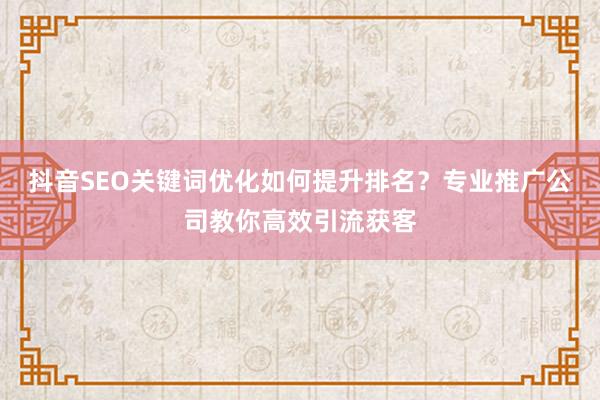 抖音SEO关键词优化如何提升排名？专业推广公司教你高效引流获客