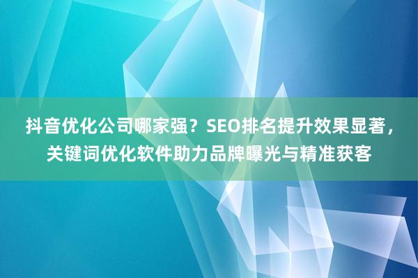 抖音优化公司哪家强？SEO排名提升效果显著，关键词优化软件助力品牌曝光与精准获客