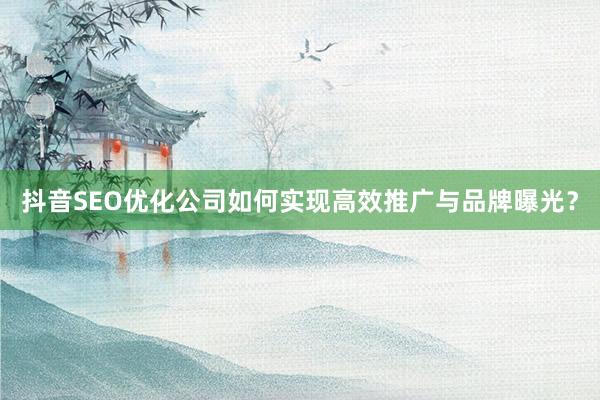 抖音SEO优化公司如何实现高效推广与品牌曝光？