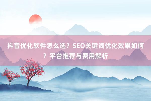抖音优化软件怎么选？SEO关键词优化效果如何？平台推荐与费用解析