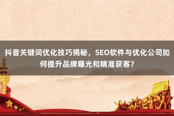 抖音关键词优化技巧揭秘，SEO软件与优化公司如何提升品牌曝光和精准获客？