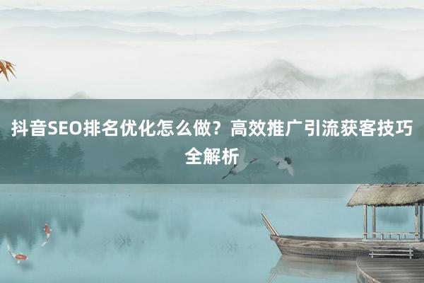 抖音SEO排名优化怎么做？高效推广引流获客技巧全解析