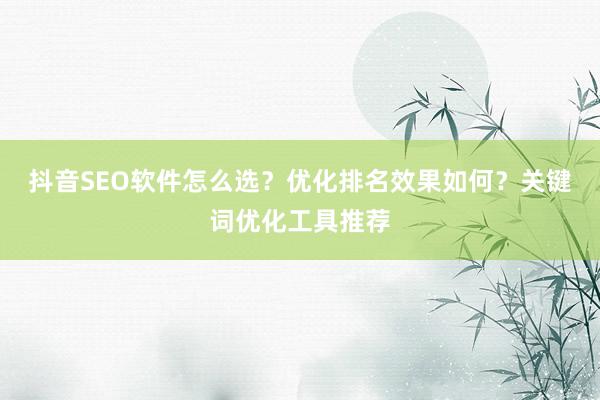 抖音SEO软件怎么选？优化排名效果如何？关键词优化工具推荐
