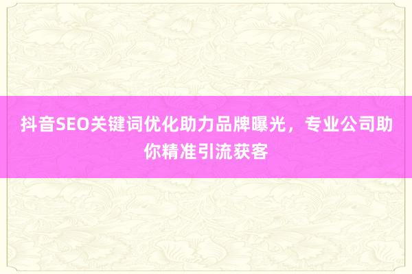 抖音SEO关键词优化助力品牌曝光，专业公司助你精准引流获客