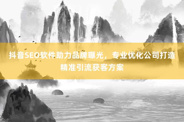 抖音SEO软件助力品牌曝光，专业优化公司打造精准引流获客方案