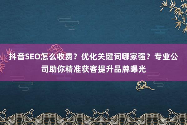 抖音SEO怎么收费？优化关键词哪家强？专业公司助你精准获客提升品牌曝光