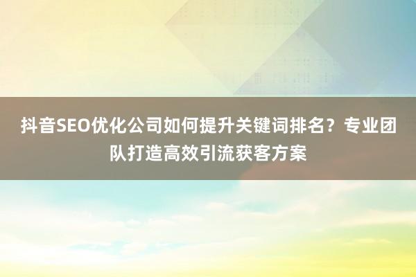 抖音SEO优化公司如何提升关键词排名？专业团队打造高效引流获客方案