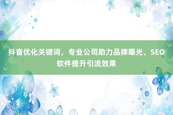 抖音优化关键词，专业公司助力品牌曝光，SEO软件提升引流效果