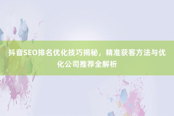 抖音SEO排名优化技巧揭秘，精准获客方法与优化公司推荐全解析