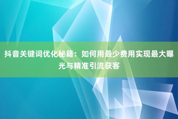 抖音关键词优化秘籍：如何用最少费用实现最大曝光与精准引流获客