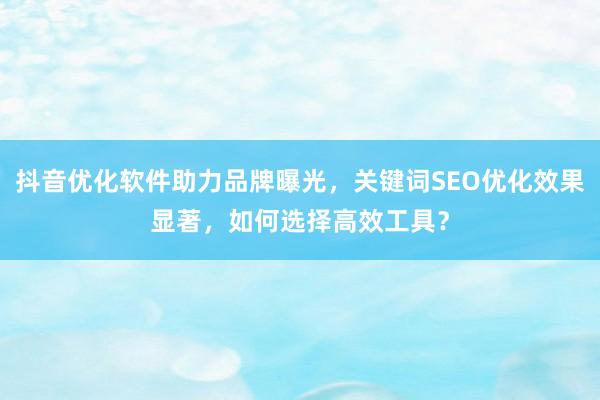 抖音优化软件助力品牌曝光，关键词SEO优化效果显著，如何选择高效工具？