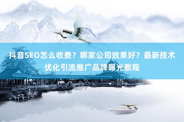 抖音SEO怎么收费？哪家公司效果好？最新技术优化引流推广品牌曝光教程