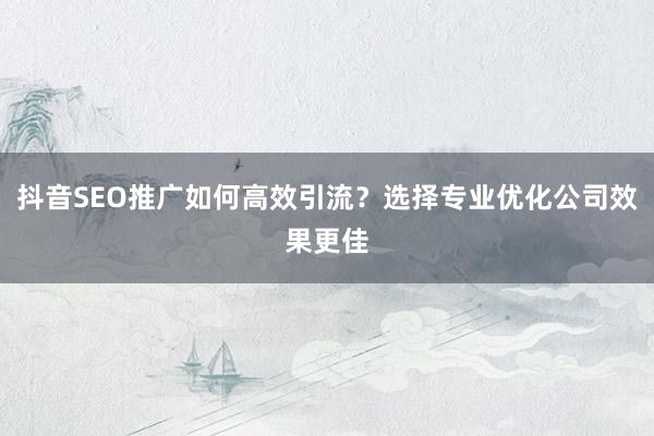 抖音SEO推广如何高效引流？选择专业优化公司效果更佳