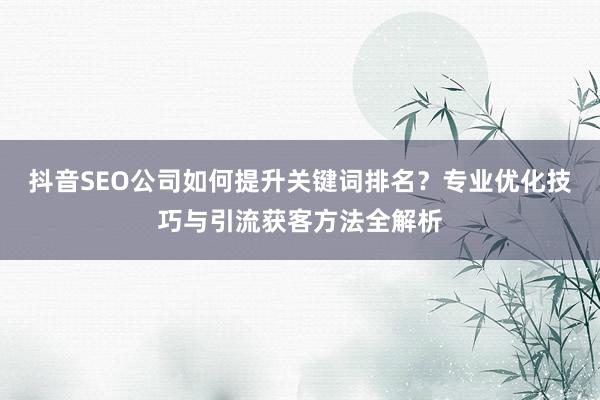 抖音SEO公司如何提升关键词排名？专业优化技巧与引流获客方法全解析