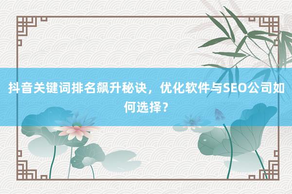 抖音关键词排名飙升秘诀，优化软件与SEO公司如何选择？