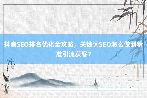 抖音SEO排名优化全攻略，关键词SEO怎么做到精准引流获客？