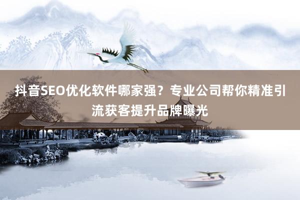 抖音SEO优化软件哪家强？专业公司帮你精准引流获客提升品牌曝光