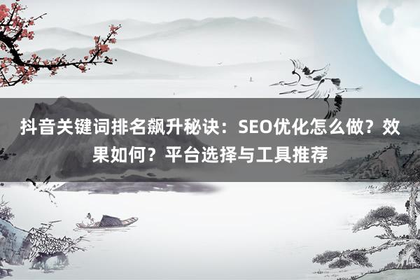 抖音关键词排名飙升秘诀：SEO优化怎么做？效果如何？平台选择与工具推荐