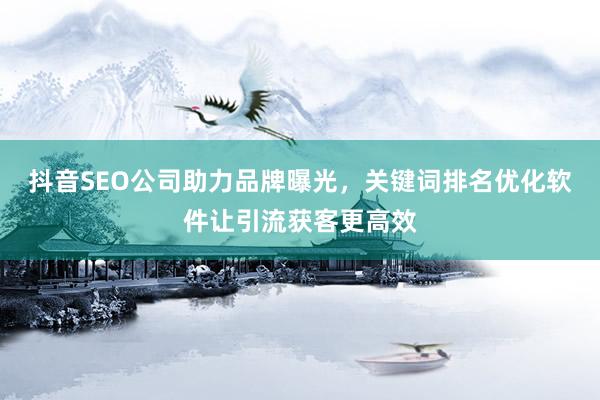 抖音SEO公司助力品牌曝光，关键词排名优化软件让引流获客更高效