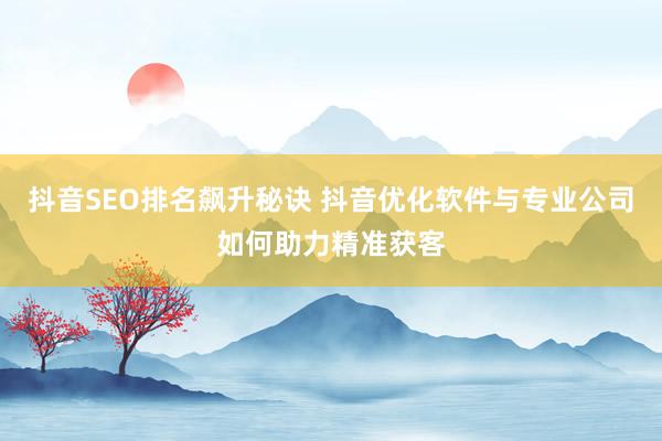 抖音SEO排名飙升秘诀 抖音优化软件与专业公司如何助力精准获客