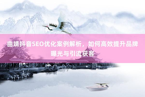 曲靖抖音SEO优化案例解析，如何高效提升品牌曝光与引流获客