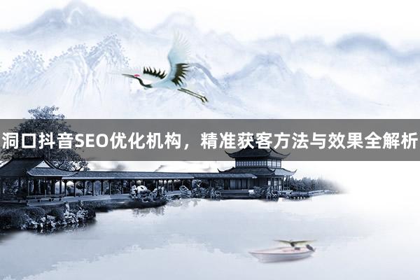 洞口抖音SEO优化机构，精准获客方法与效果全解析