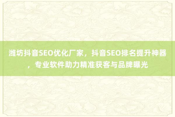 潍坊抖音SEO优化厂家，抖音SEO排名提升神器，专业软件助力精准获客与品牌曝光