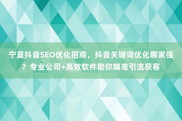宁夏抖音SEO优化招商，抖音关键词优化哪家强？专业公司+高效软件助你精准引流获客