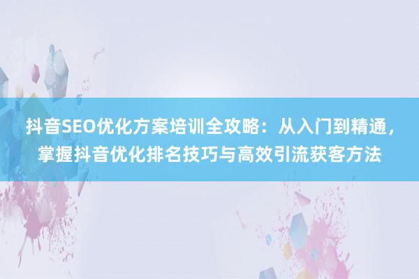 抖音SEO优化方案培训全攻略：从入门到精通，掌握抖音优化排名技巧与高效引流获客方法