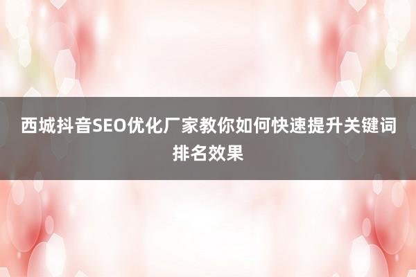 西城抖音SEO优化厂家教你如何快速提升关键词排名效果