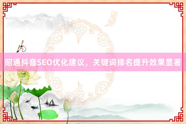 昭通抖音SEO优化建议，关键词排名提升效果显著