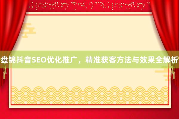 盘锦抖音SEO优化推广，精准获客方法与效果全解析