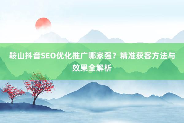 鞍山抖音SEO优化推广哪家强？精准获客方法与效果全解析