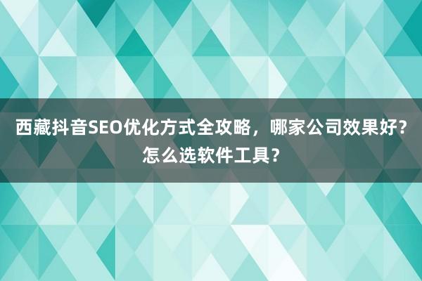 西藏抖音SEO优化方式全攻略，哪家公司效果好？怎么选软件工具？